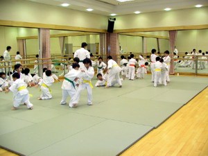 柔道小子