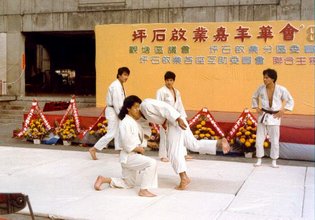 84年柔道表演