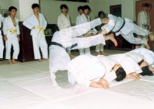 護身倒法